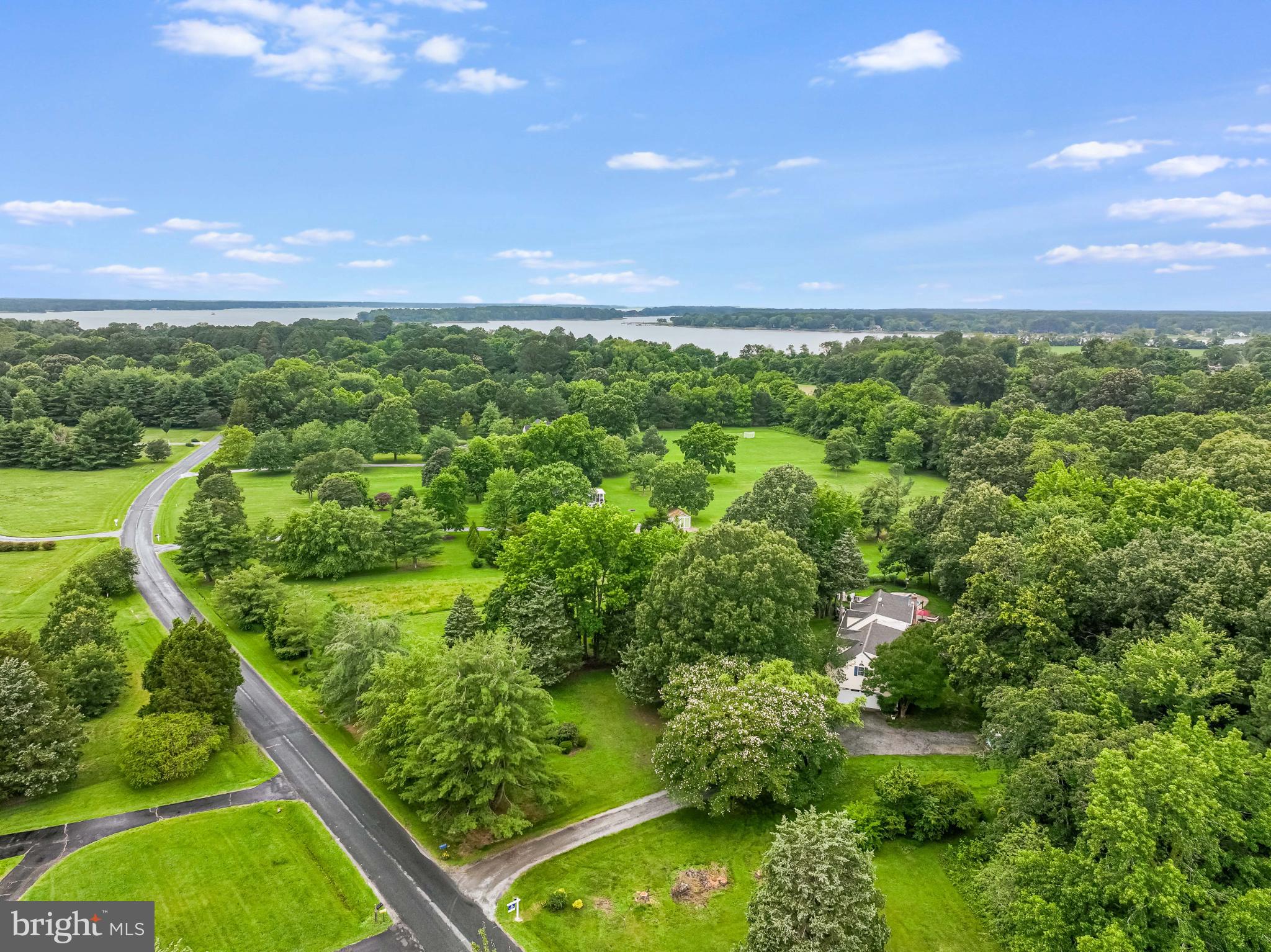 26698 Arcadia Shores Road Easton, MD 21601 - Photo 64 of 71 Lush greenery meets serene waterscape.