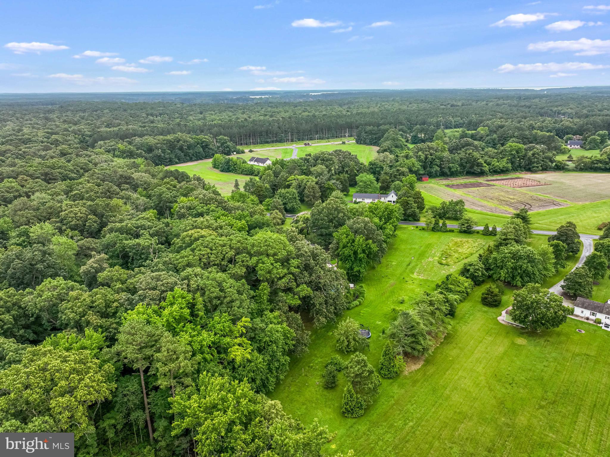 26698 Arcadia Shores Road Easton, MD 21601 - Photo 66 of 71 Lush green landscape under a clear blue sky.