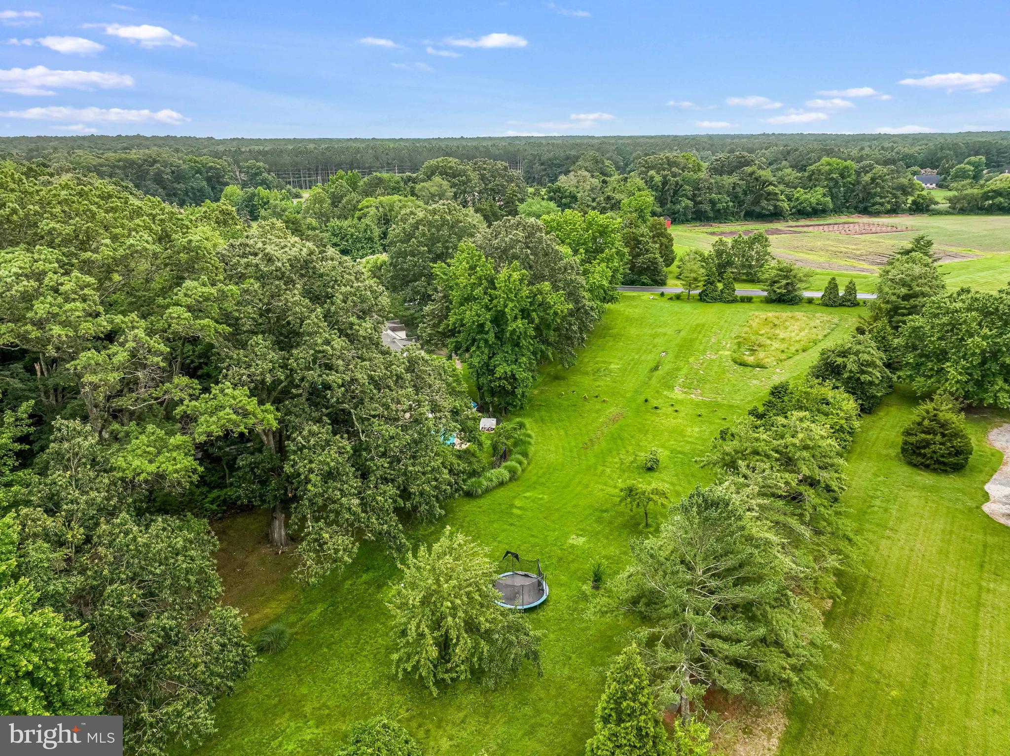 26698 Arcadia Shores Road Easton, MD 21601 - Photo 67 of 71 Lush green landscape with serene views.