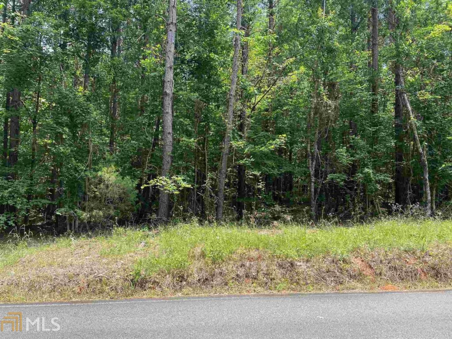0 Maddox Road, Unit LOT 1 Eatonton, GA 31024 - Photo 1 of 1 Gallery Image 1