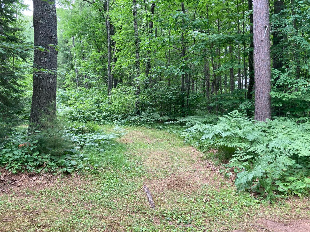6401 Pigeon Road Lake Tomahawk, WI 54539 - Photo 10 of 13 Gallery Image 10