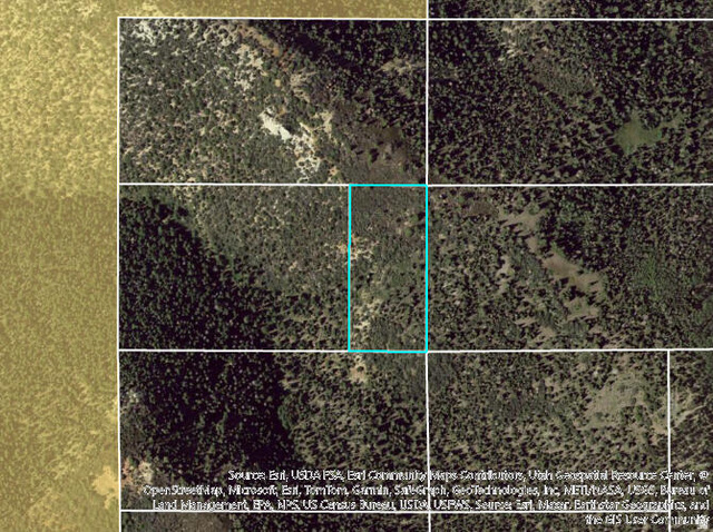 5 Acres Near Dry Lakes Road Brian Head, UT 84719 - Photo 2 of 4