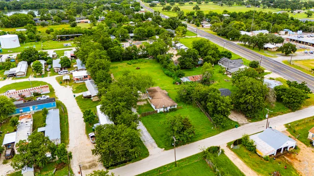 a view of a tree with a tree