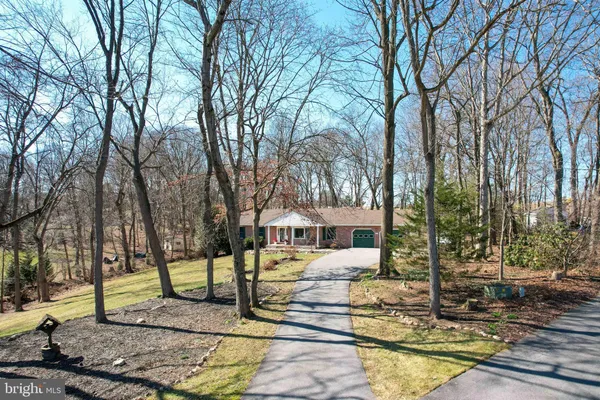 a view of yard with trees
