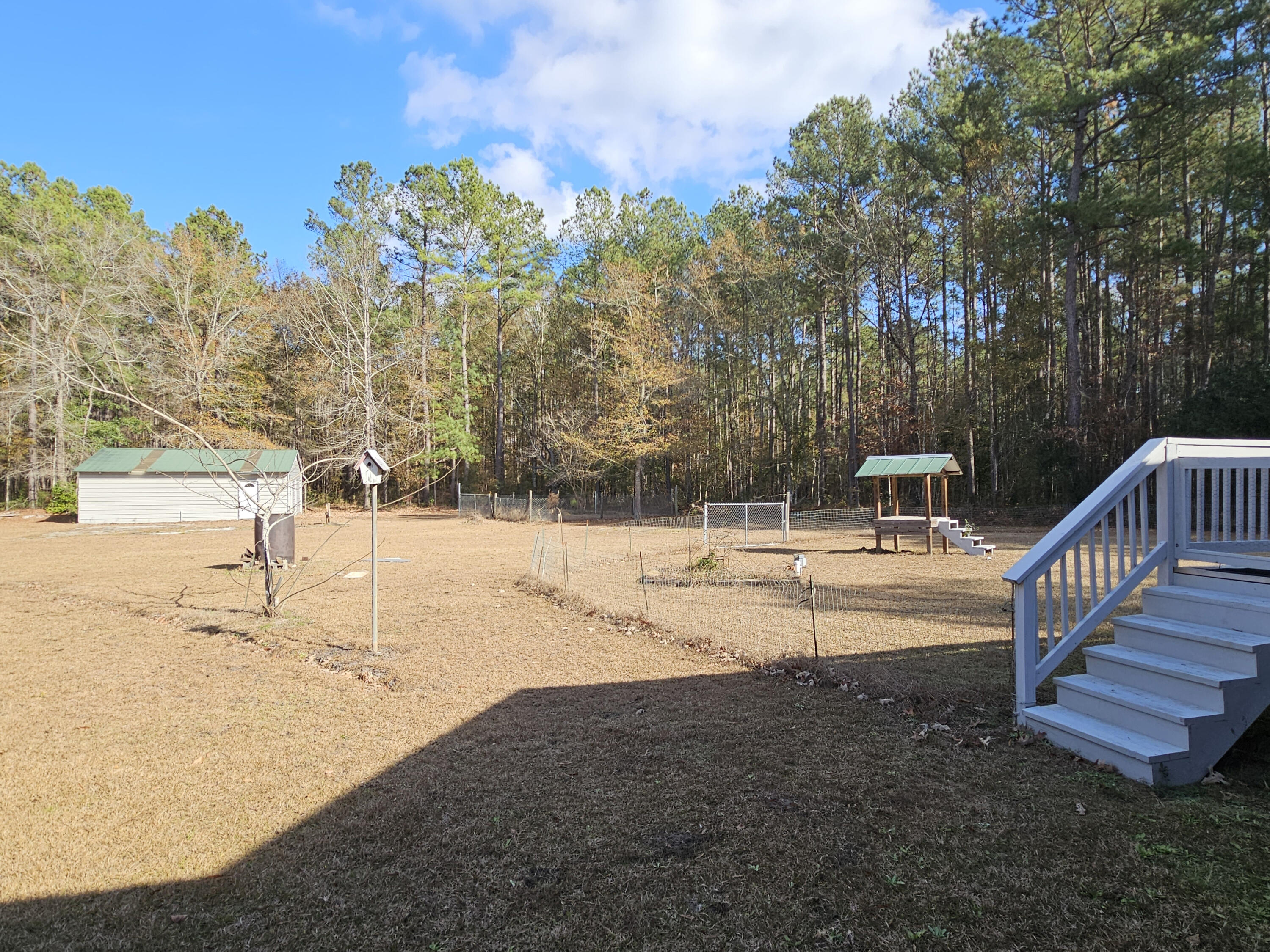 2300 Bethera Road Bonneau, SC 29431 - Photo 32 of 43 32-BackYard