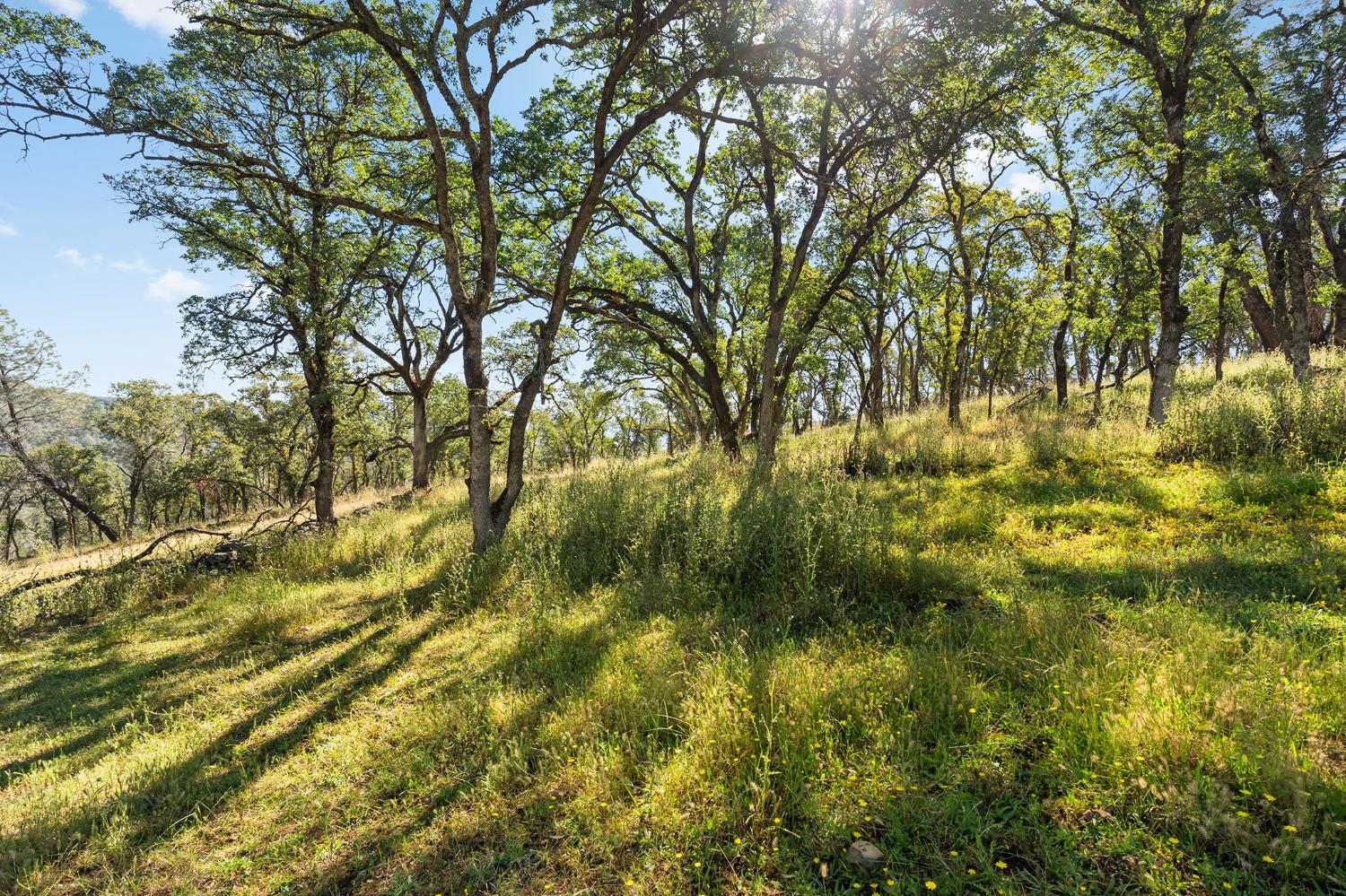 1484 Oregon Gulch Road Oroville, CA 95965 - Photo 21 of 78