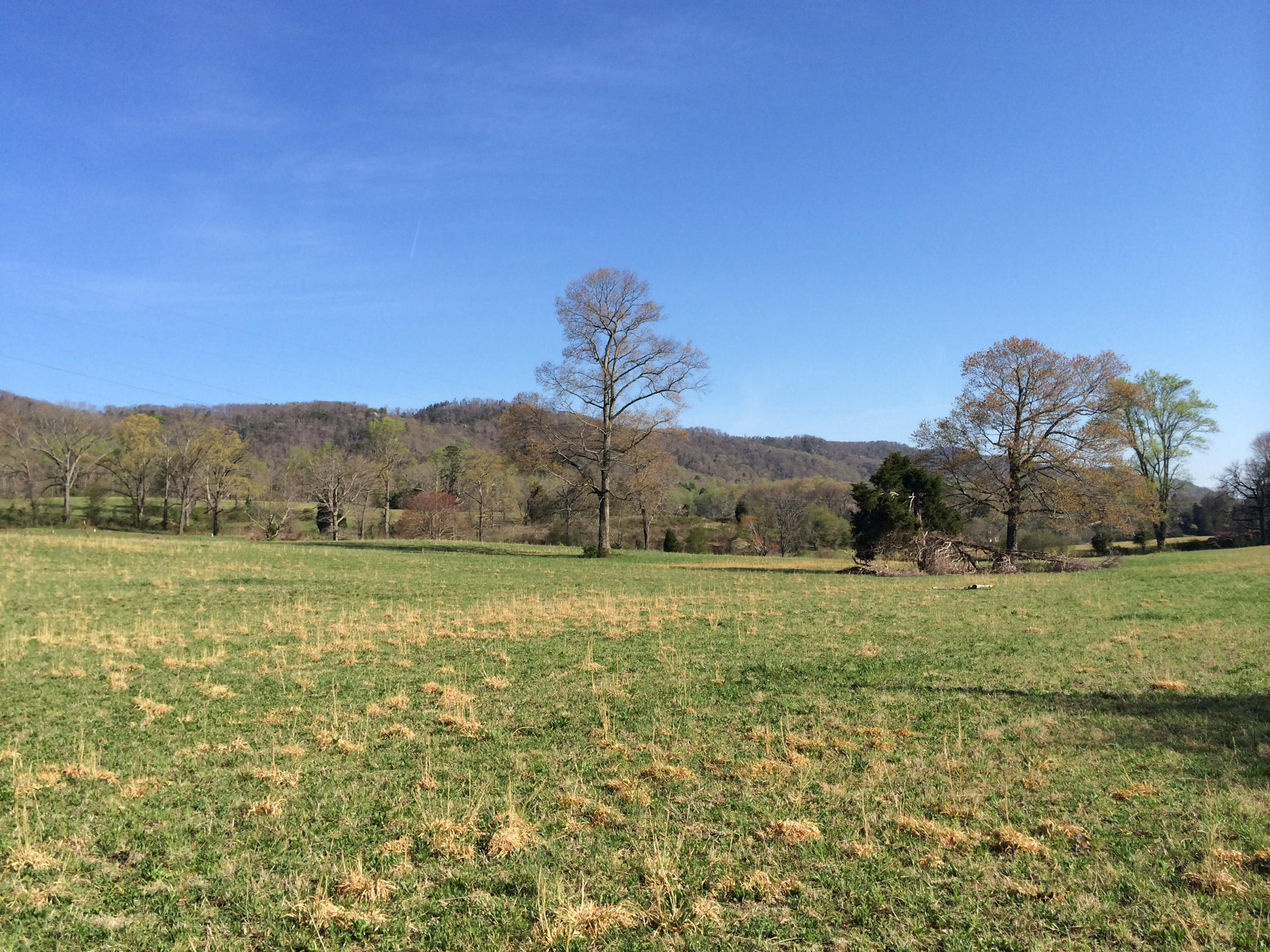 Dutch Valley Clinton, TN 37716 - Photo 2 of 22 IMG_2334