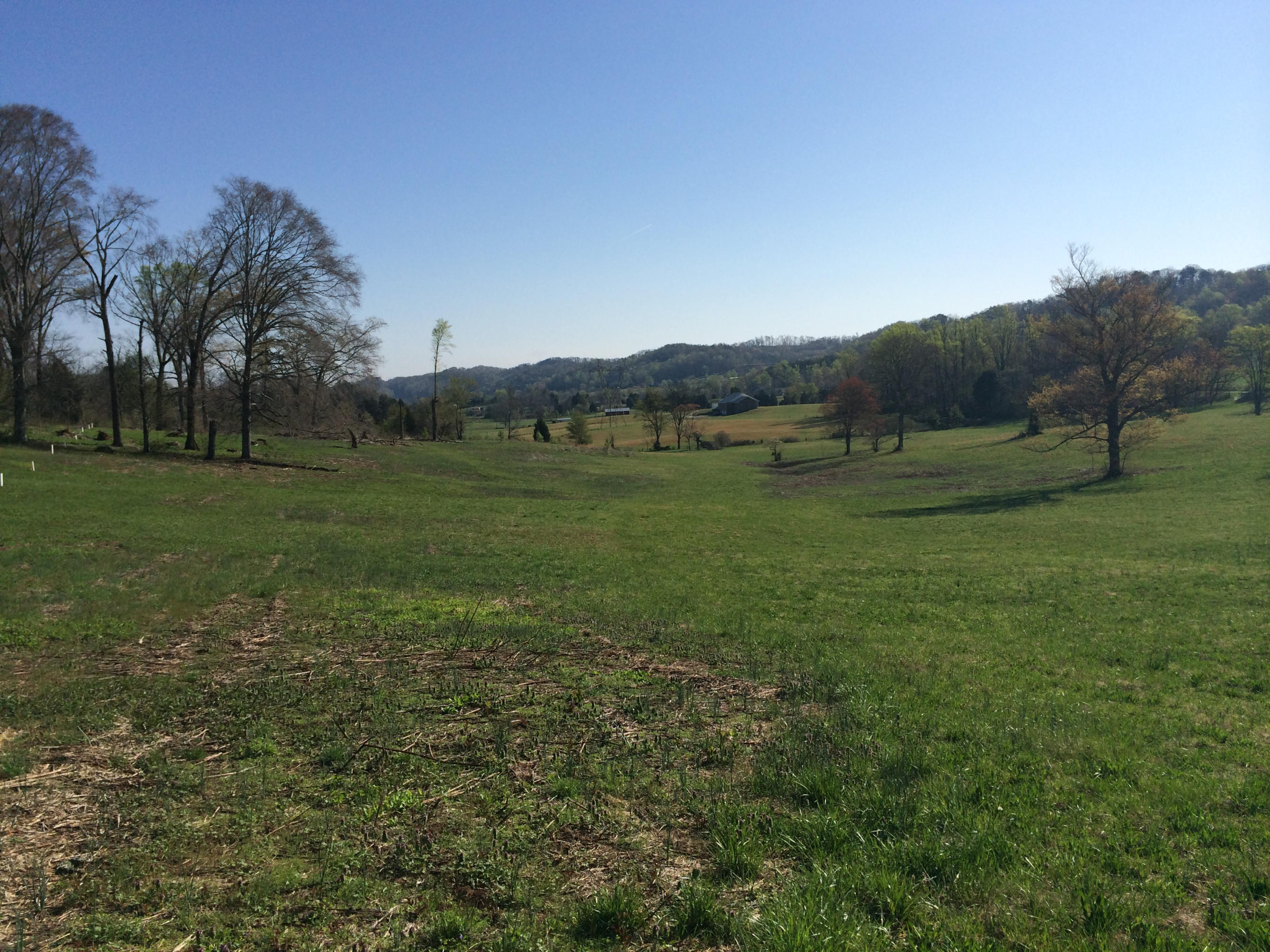 Dutch Valley Clinton, TN 37716 - Photo 12 of 22 IMG_2323