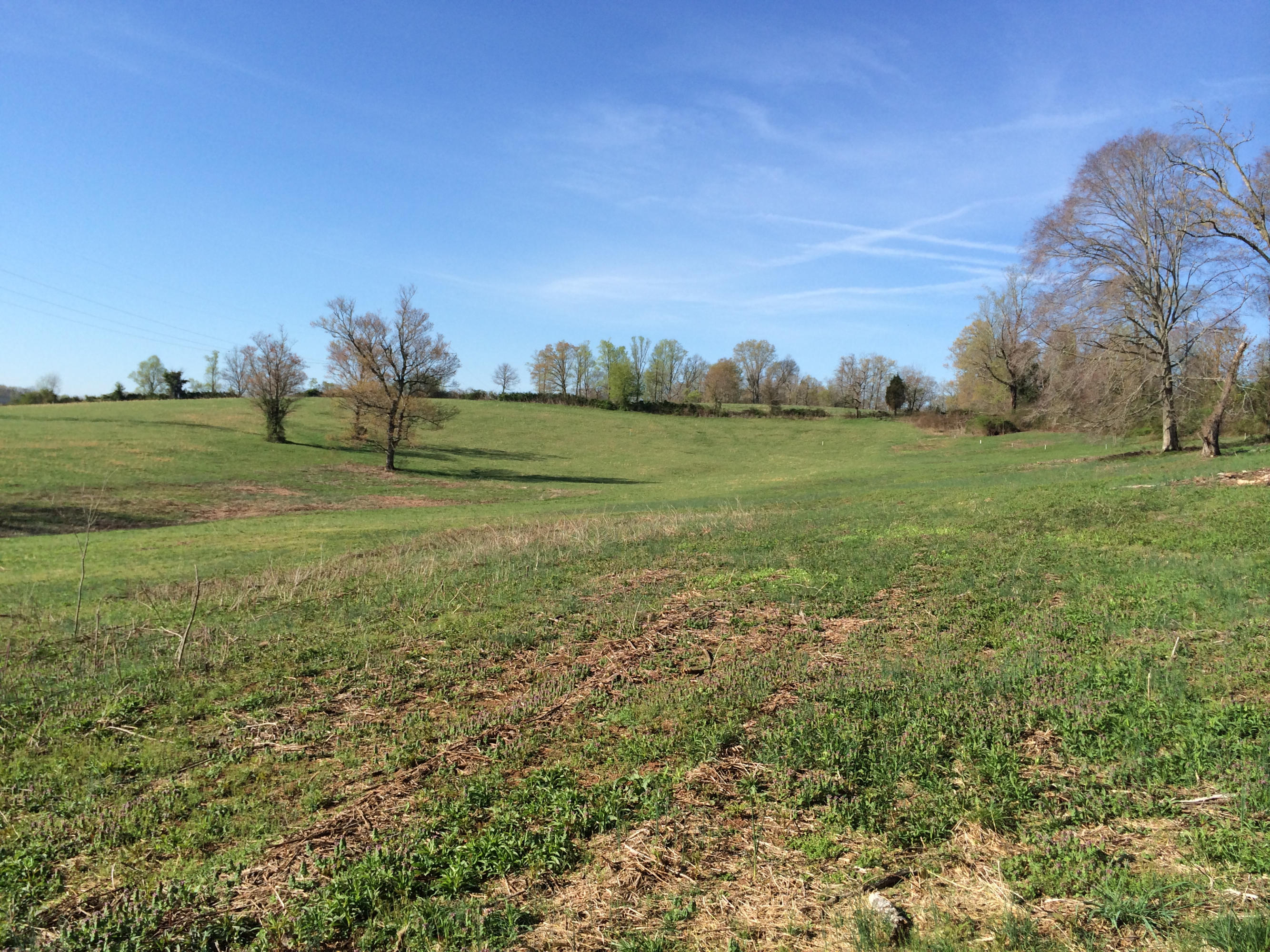 Dutch Valley Clinton, TN 37716 - Photo 13 of 22 IMG_2322