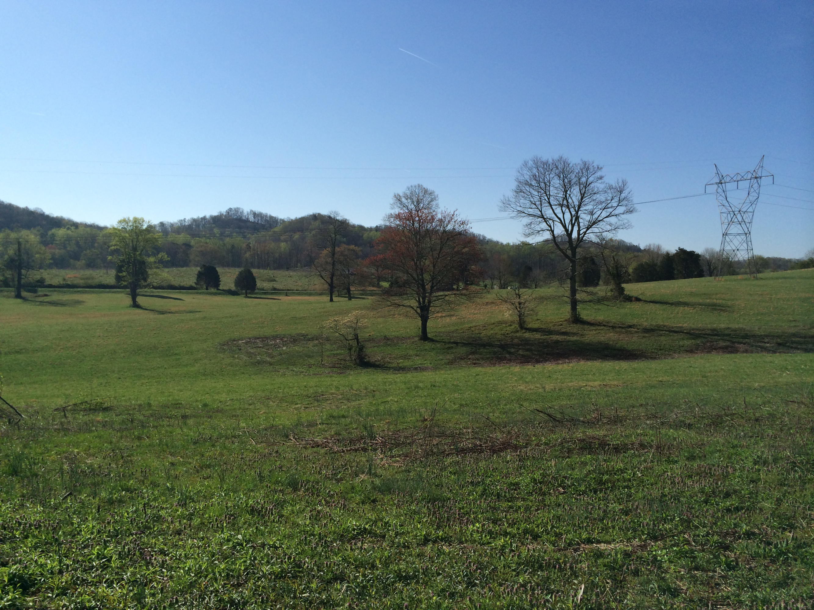 Dutch Valley Clinton, TN 37716 - Photo 14 of 22 IMG_2321