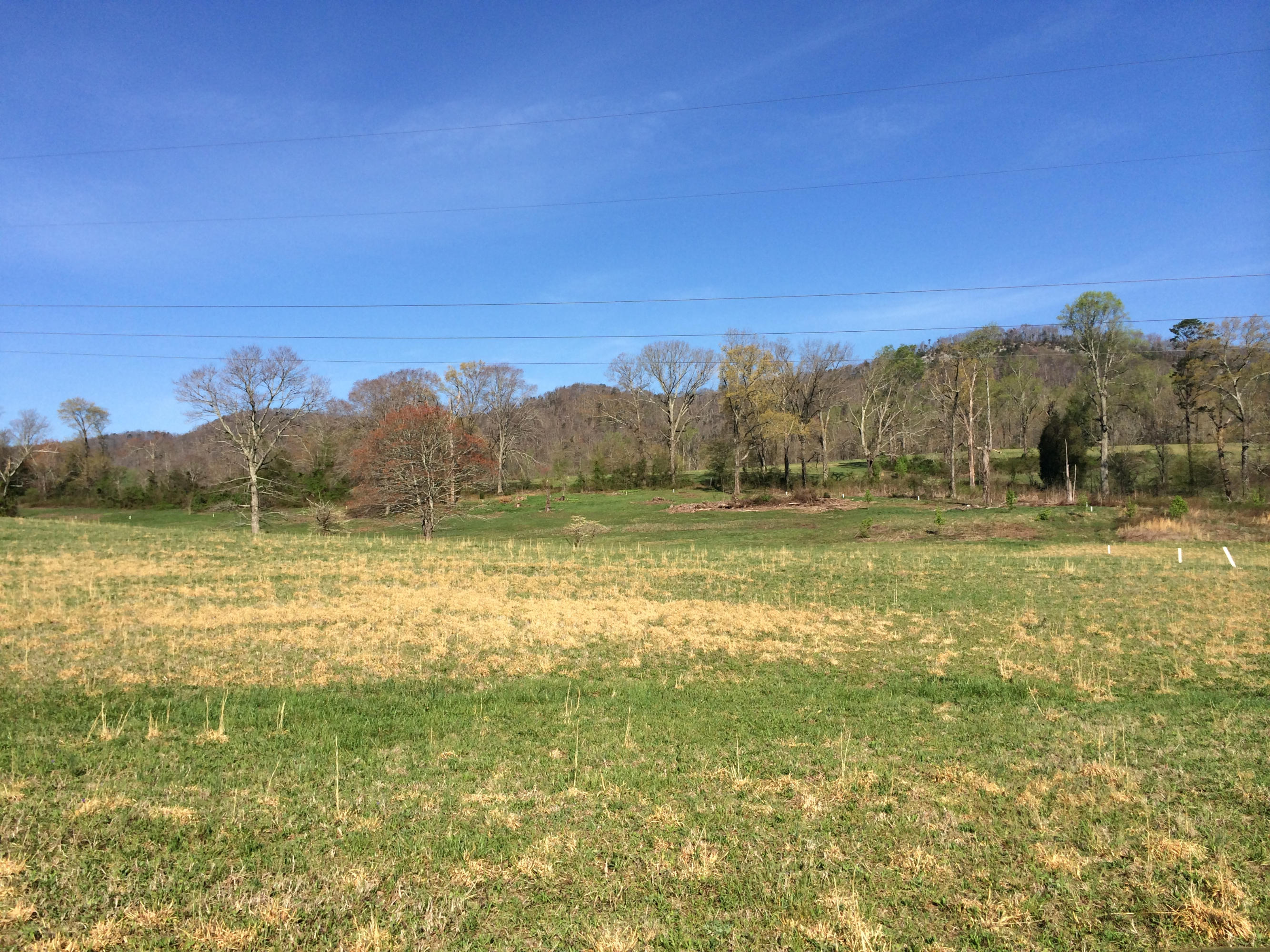 Dutch Valley Clinton, TN 37716 - Photo 15 of 22 IMG_2320