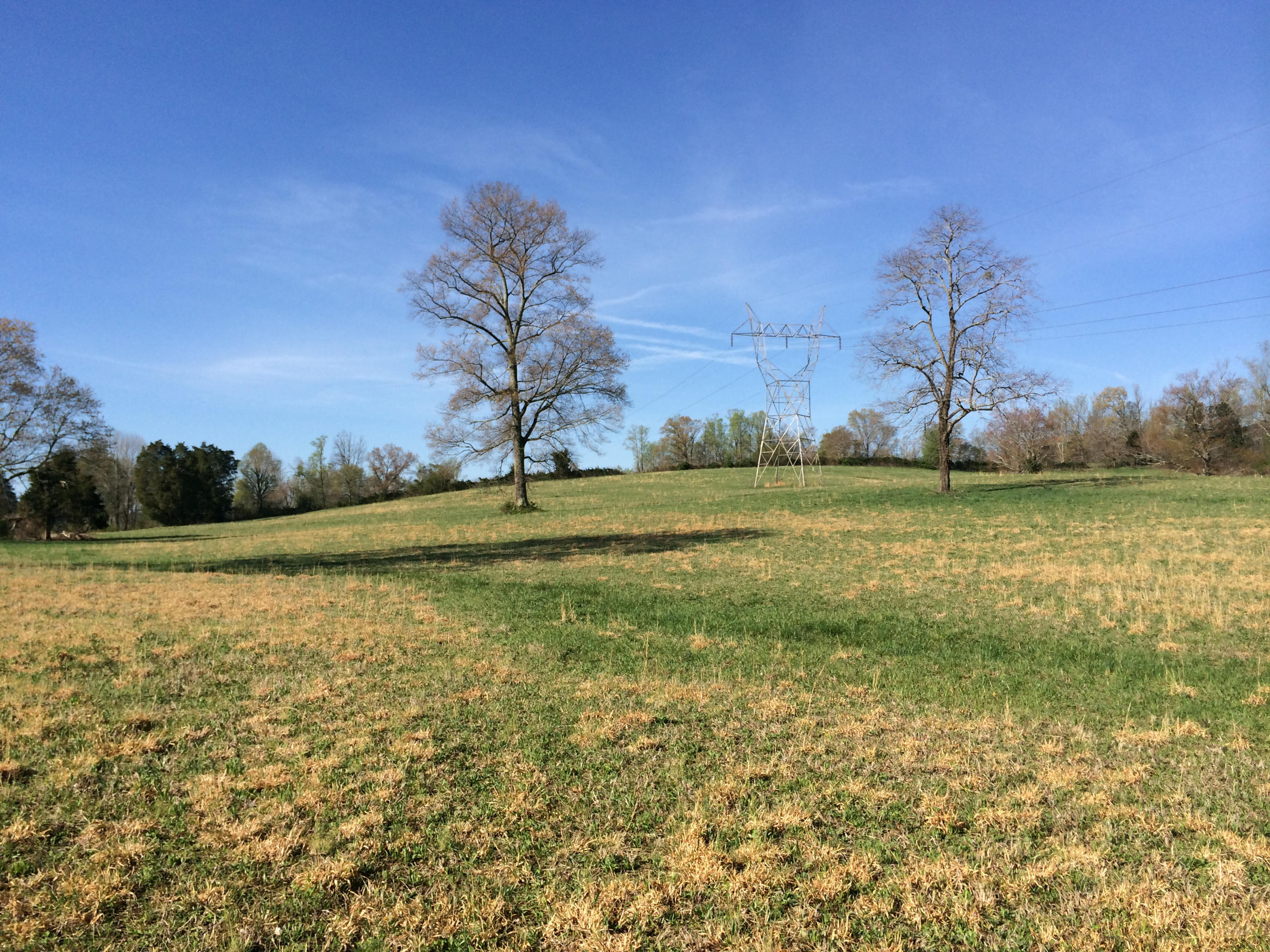 Dutch Valley Clinton, TN 37716 - Photo 16 of 22 IMG_2319