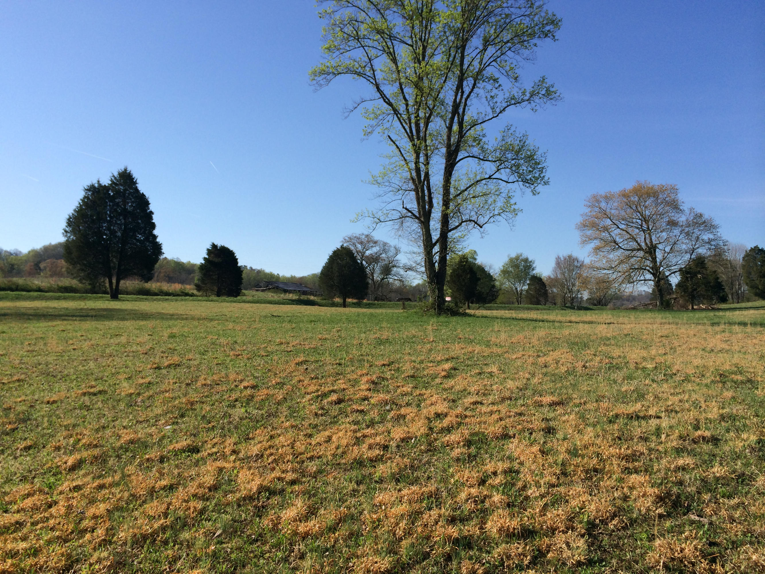 Dutch Valley Clinton, TN 37716 - Photo 17 of 22 IMG_2318