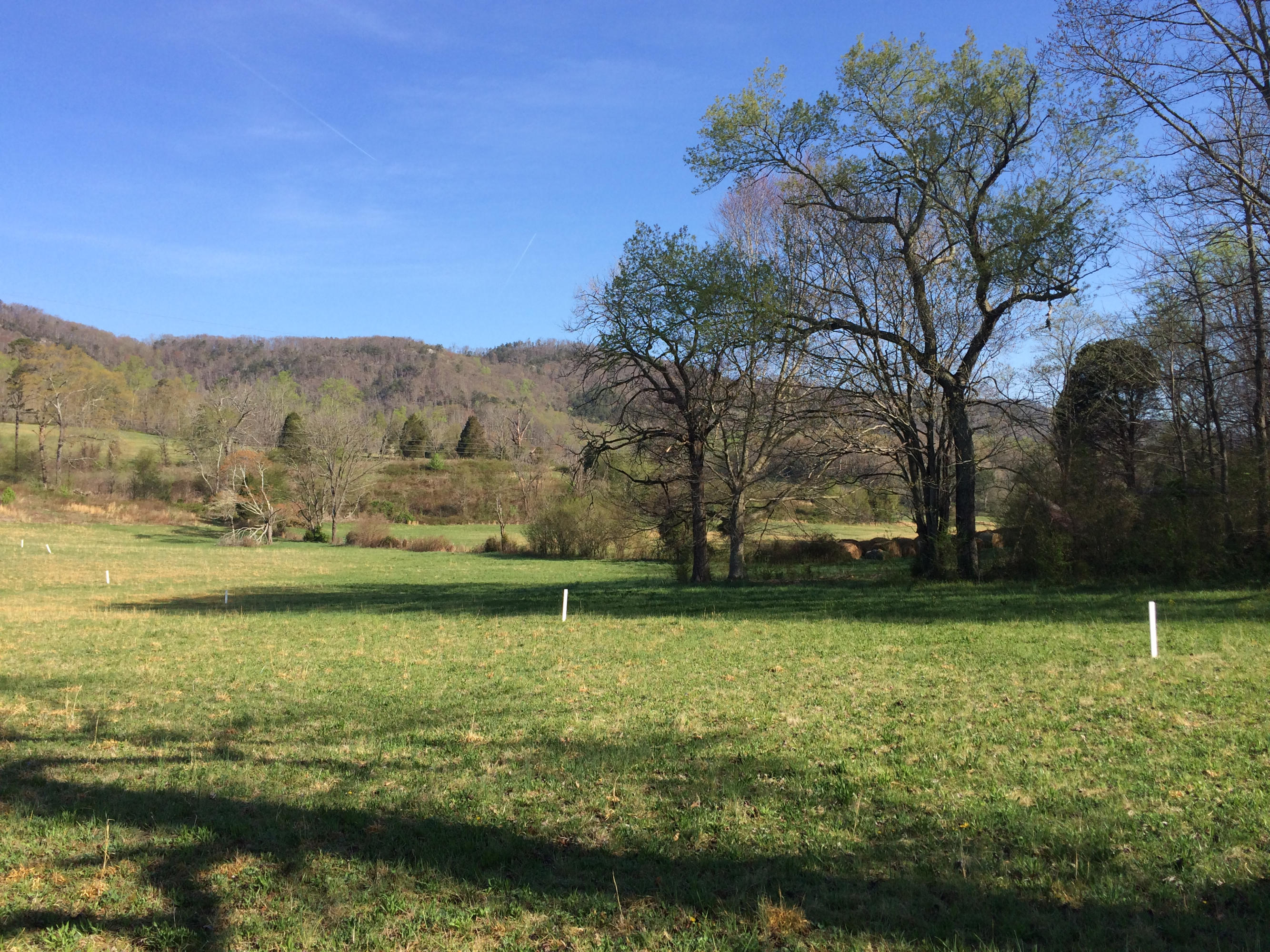 Dutch Valley Clinton, TN 37716 - Photo 18 of 22 IMG_2317