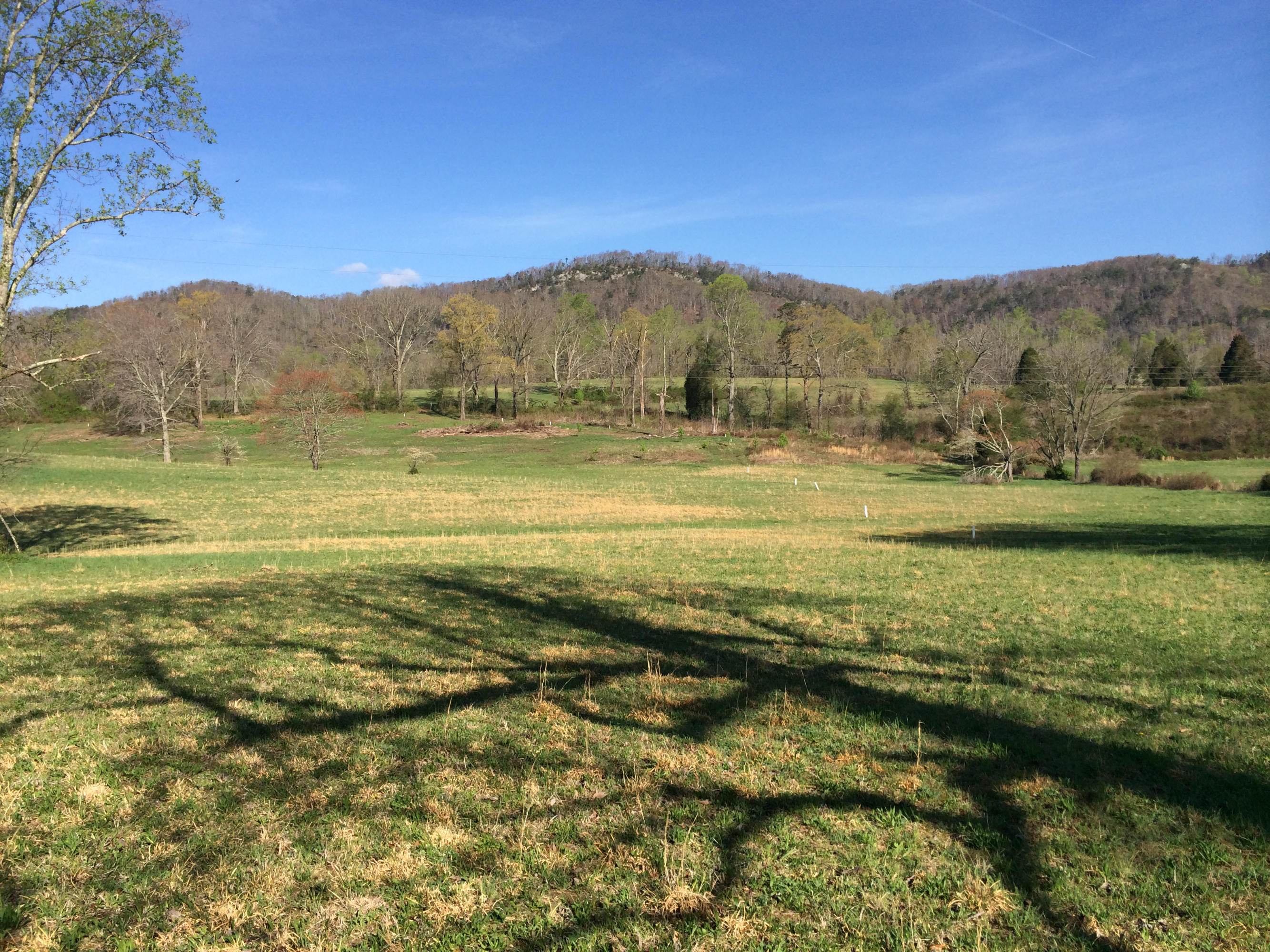 Dutch Valley Clinton, TN 37716 - Photo 19 of 22 IMG_2316