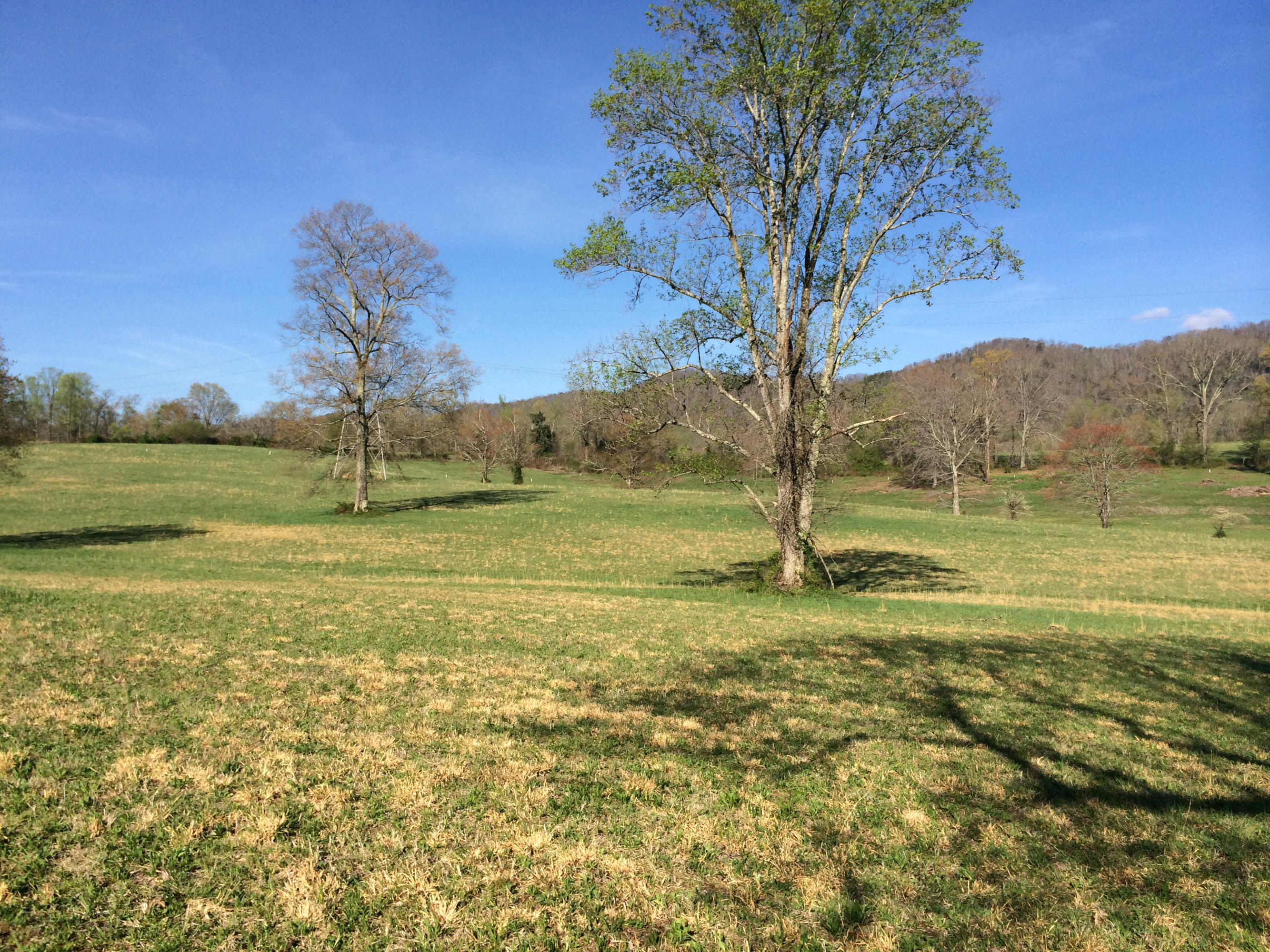 Dutch Valley Clinton, TN 37716 - Photo 20 of 22 IMG_2315