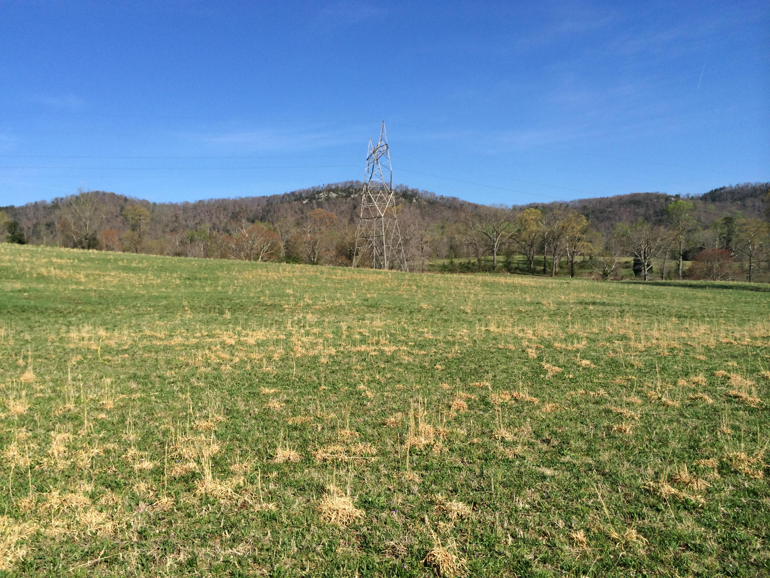 Dutch Valley Clinton, TN 37716 - Photo 3 of 22 IMG_2333