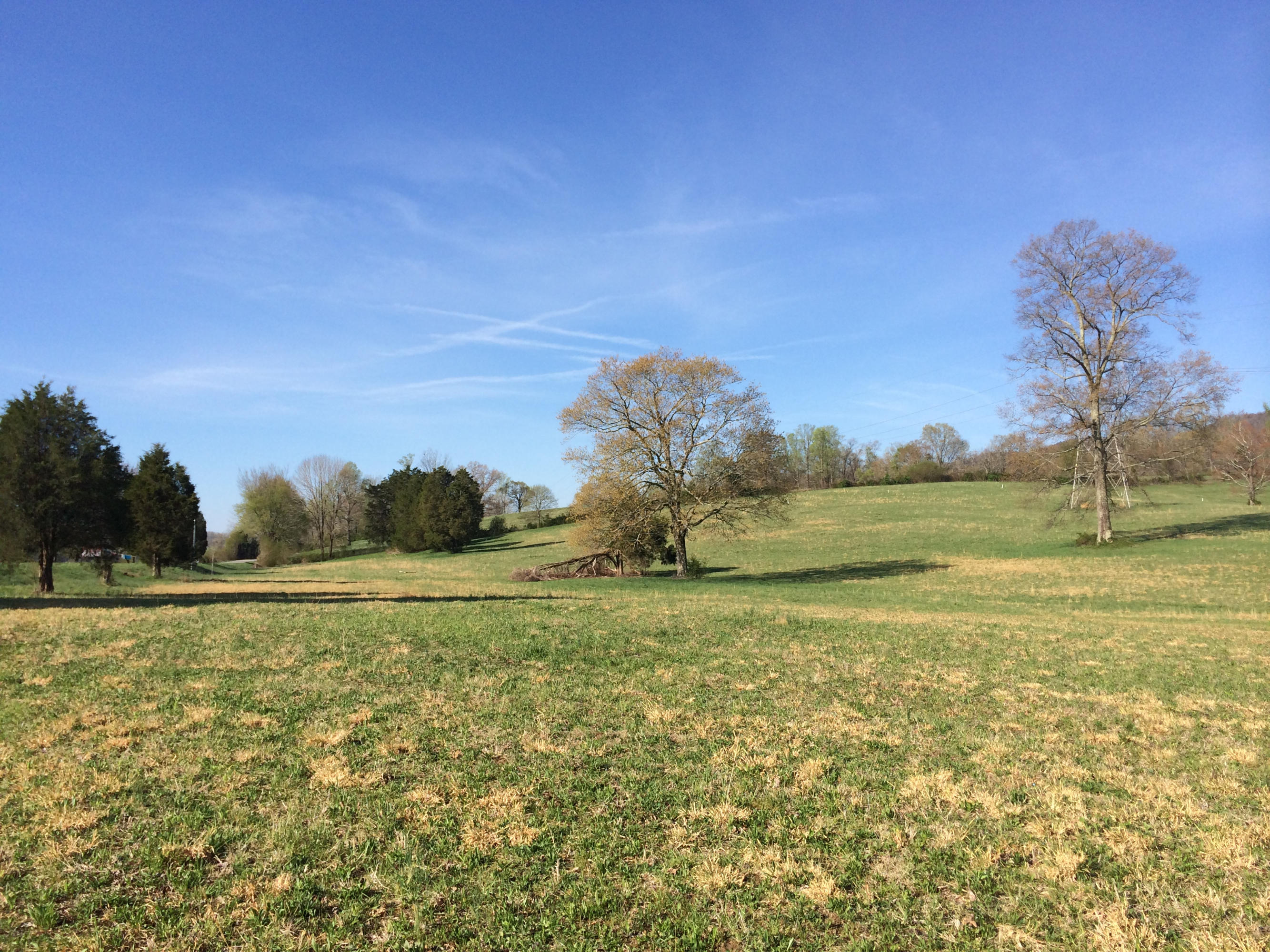 Dutch Valley Clinton, TN 37716 - Photo 21 of 22 IMG_2314