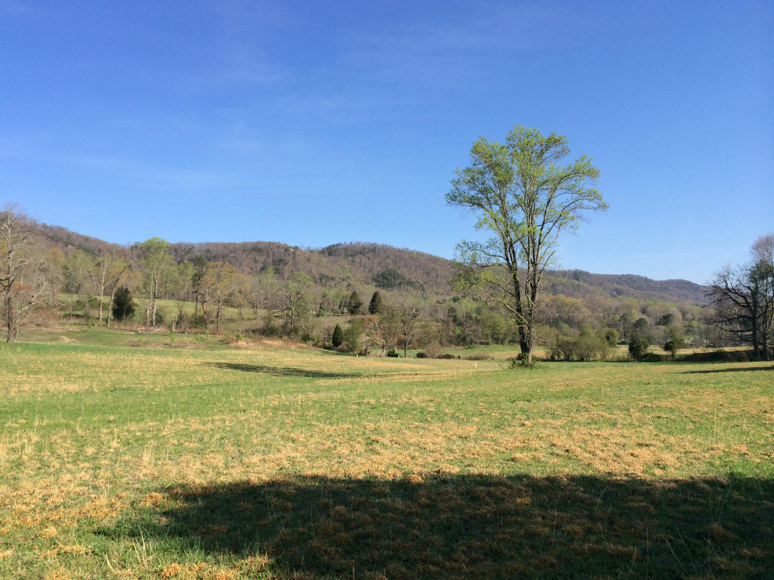 Dutch Valley Clinton, TN 37716 - Photo 22 of 22 IMG_2336