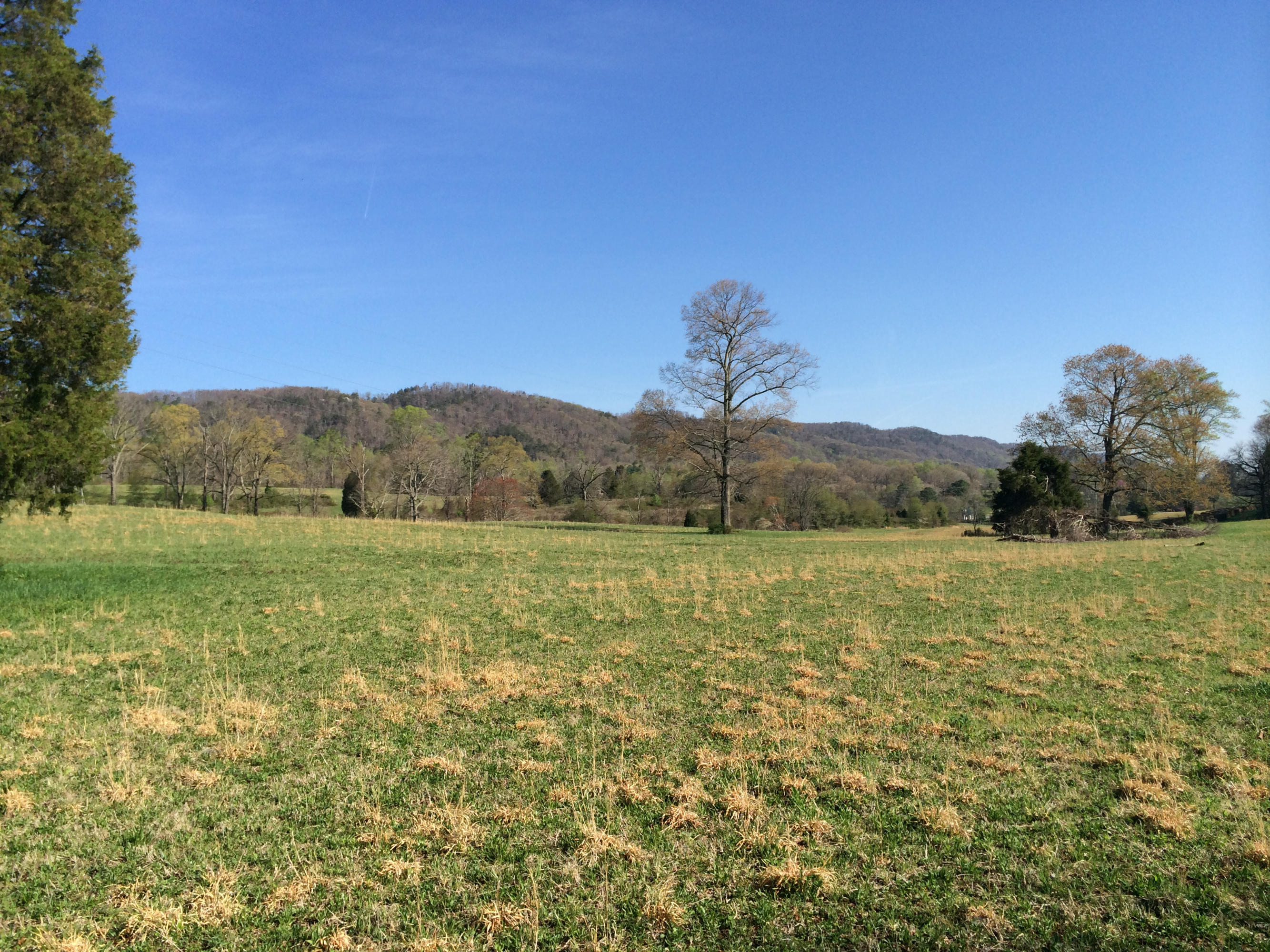 Dutch Valley Clinton, TN 37716 - Photo 4 of 22 IMG_2332