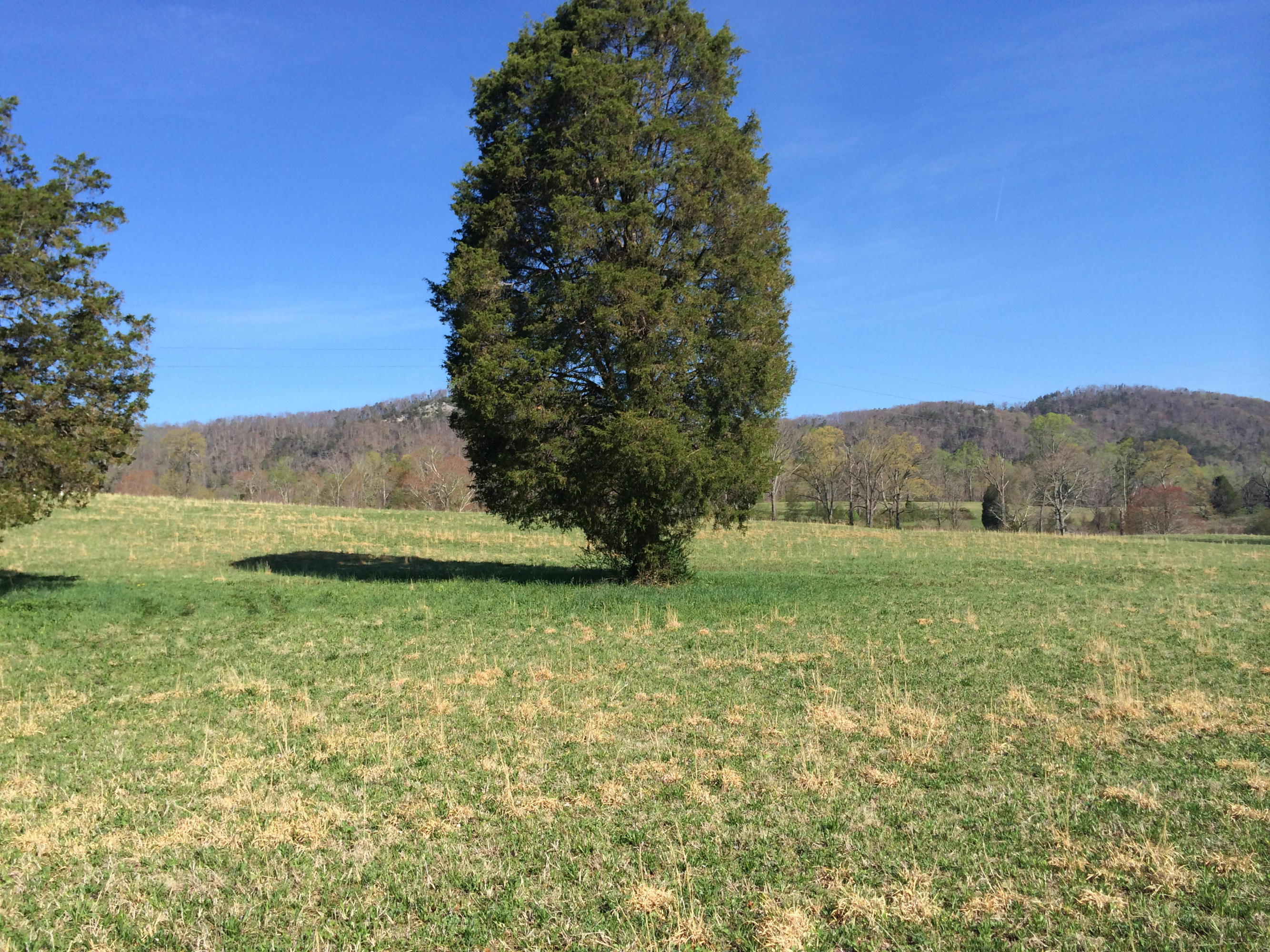 Dutch Valley Clinton, TN 37716 - Photo 5 of 22 IMG_2331