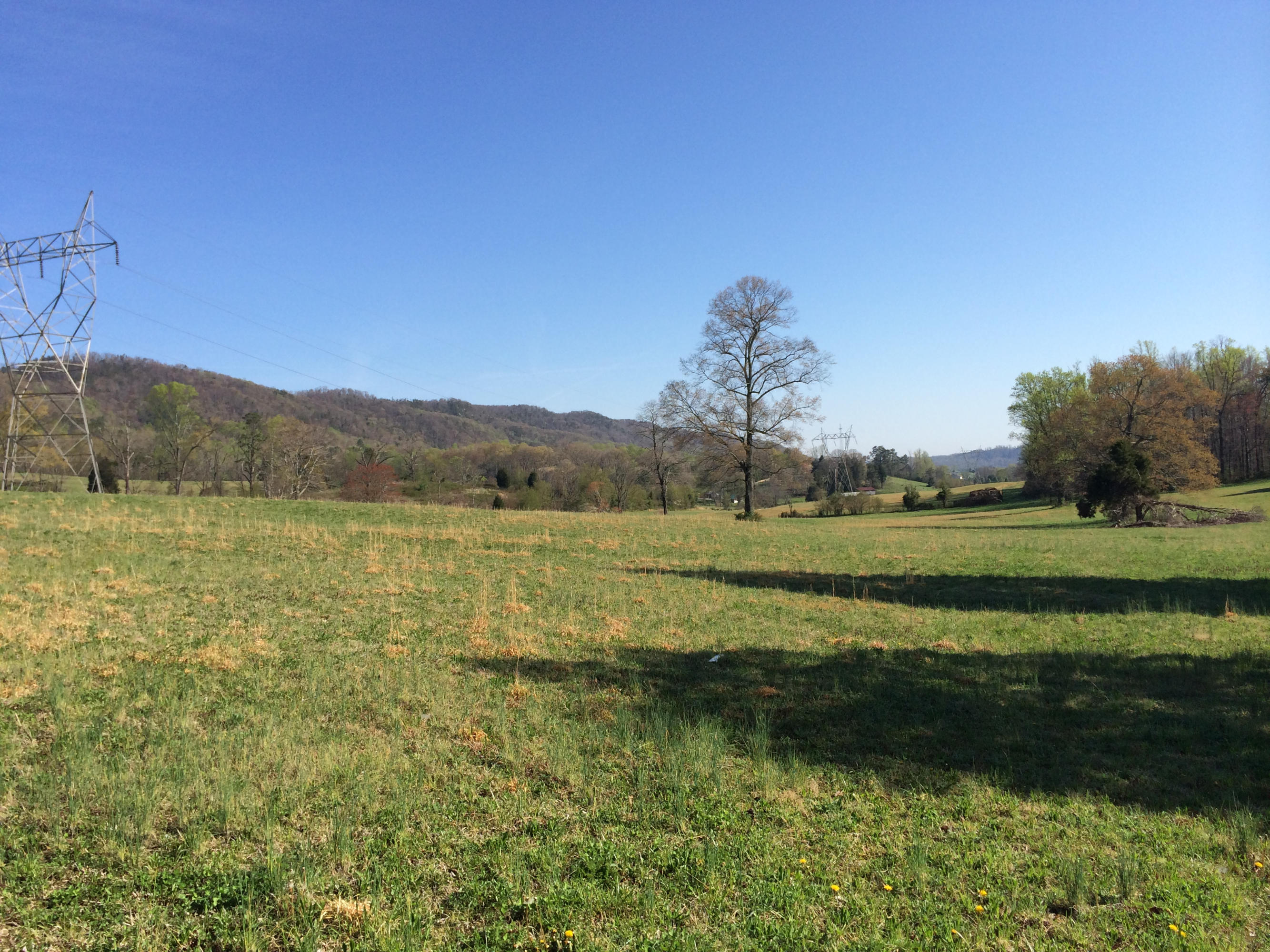 Dutch Valley Clinton, TN 37716 - Photo 6 of 22 IMG_2330