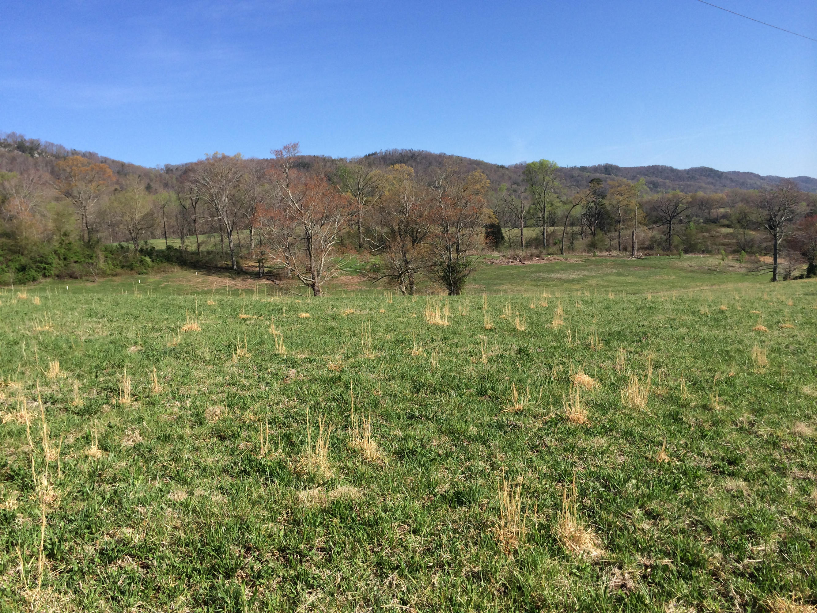 Dutch Valley Clinton, TN 37716 - Photo 8 of 22 IMG_2327