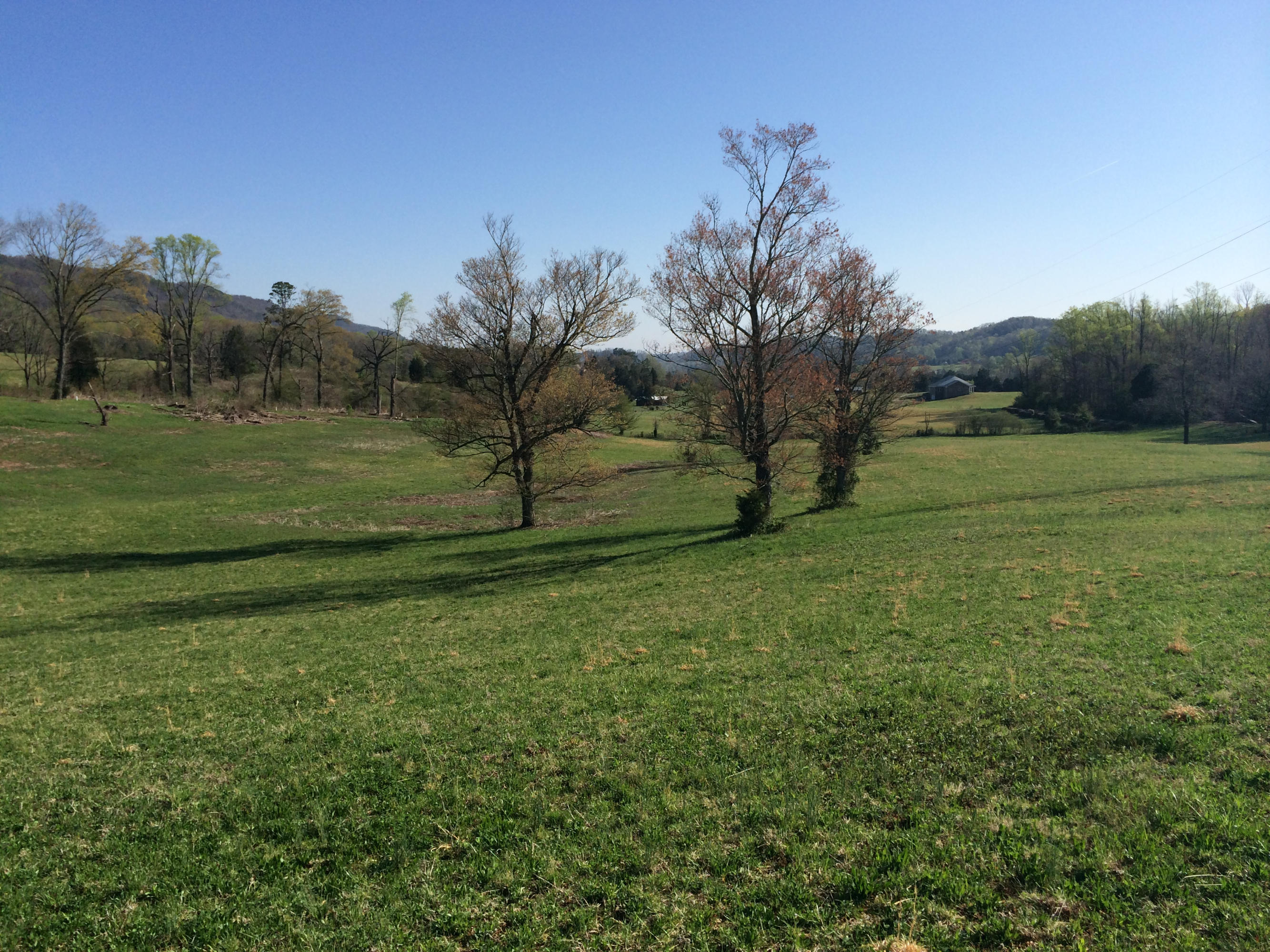 Dutch Valley Clinton, TN 37716 - Photo 9 of 22 IMG_2326