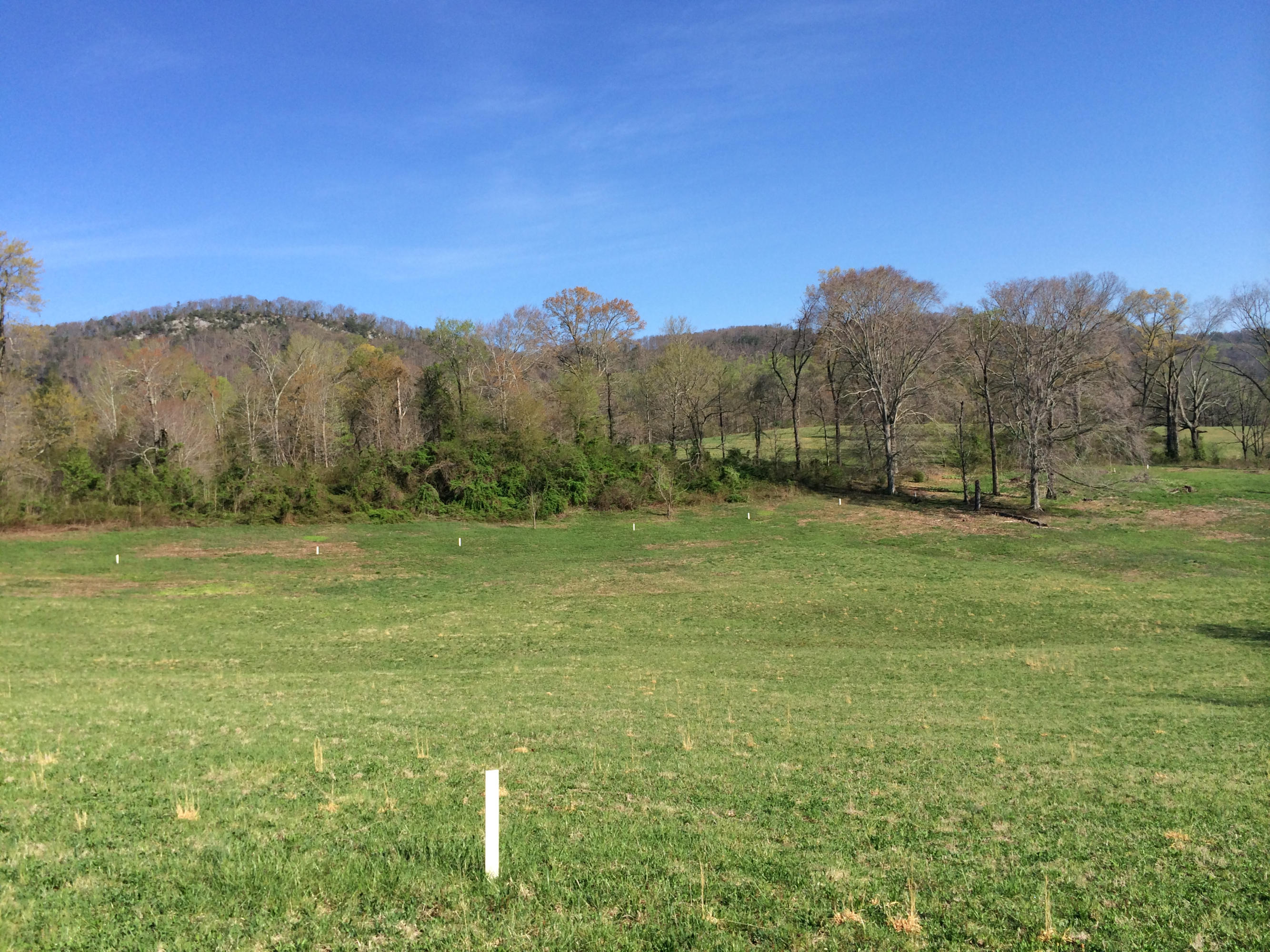 Dutch Valley Clinton, TN 37716 - Photo 10 of 22 IMG_2325