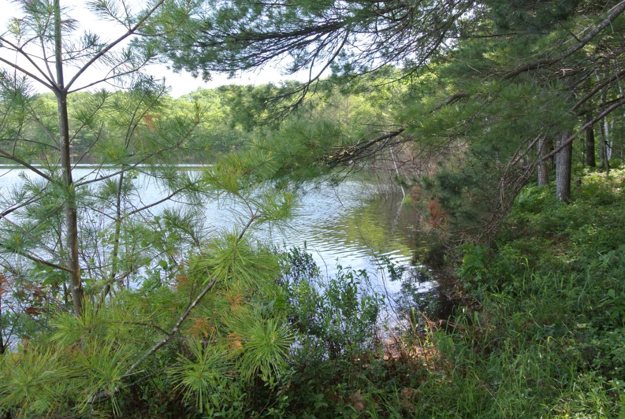 Lot On Witches Lake Road Woodruff, WI 54568 - Photo 12 of 13 Gallery Image 12