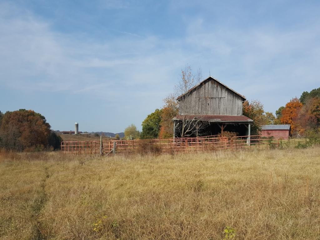 106 Glendale Road Limestone, TN 37681 - Photo 2 of 20 Photo 2
