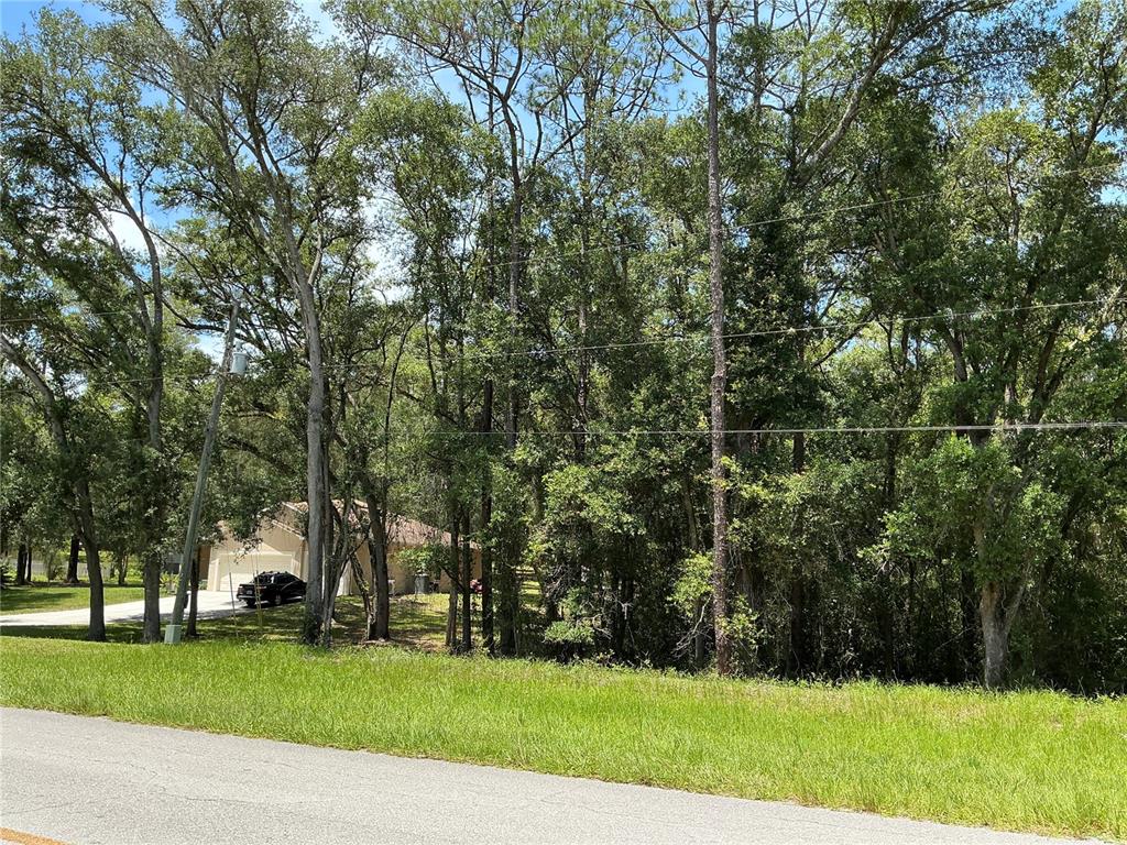 Southwest 102nd St Road Dunnellon, FL 34431 - Photo 3 of 8