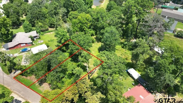 a view of a tree in a garden