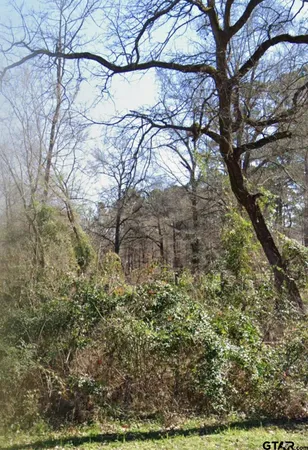 a view of a lake from a yard