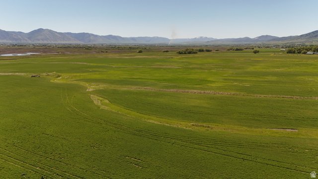 320 South 5400 West Logan, UT 84321 - Photo 4 of 42 Expansive green agricultural land with visible crop rows