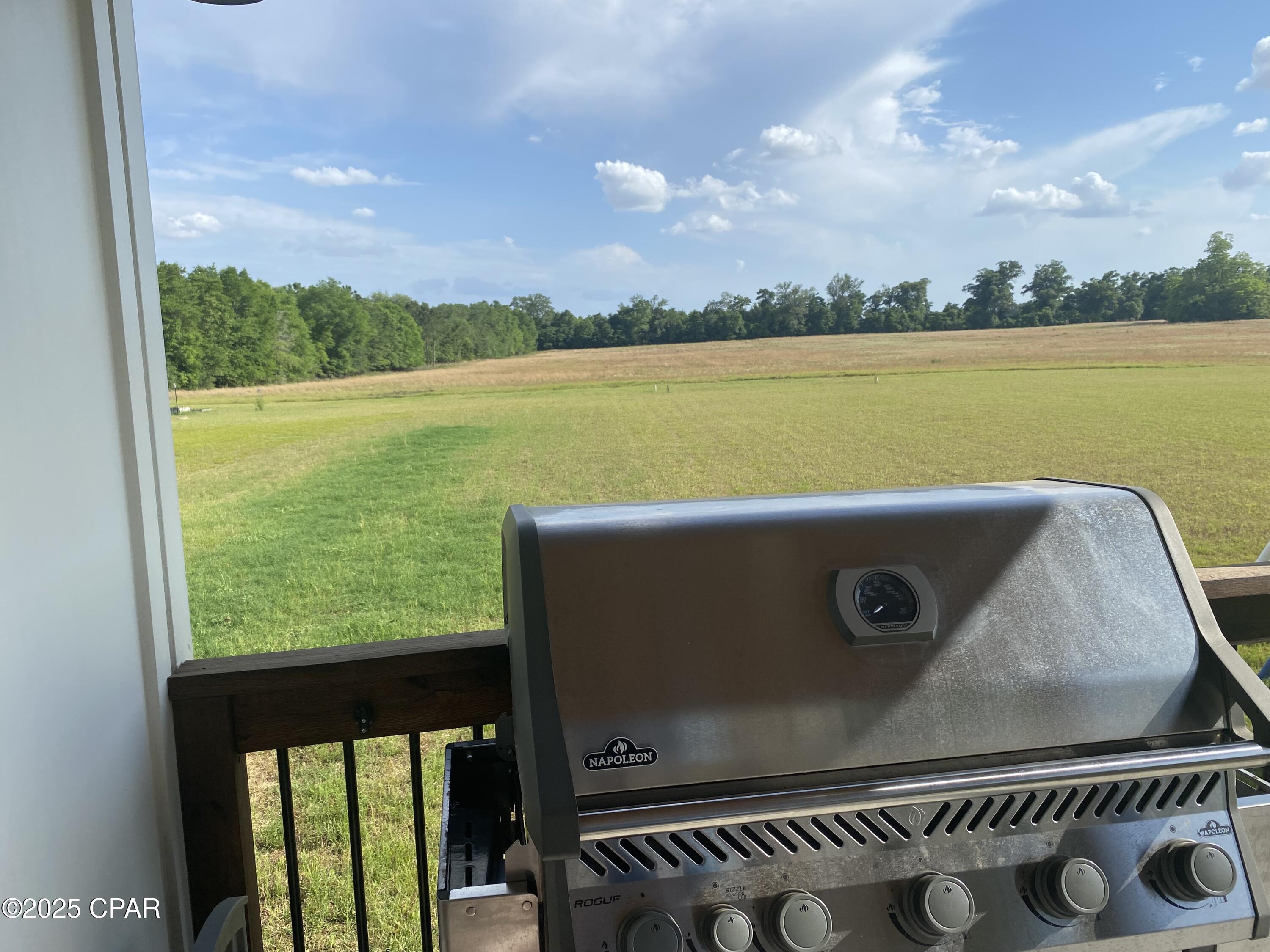 6345 Bull Frog Drive Bascom, FL 32423 - Photo 12 of 39