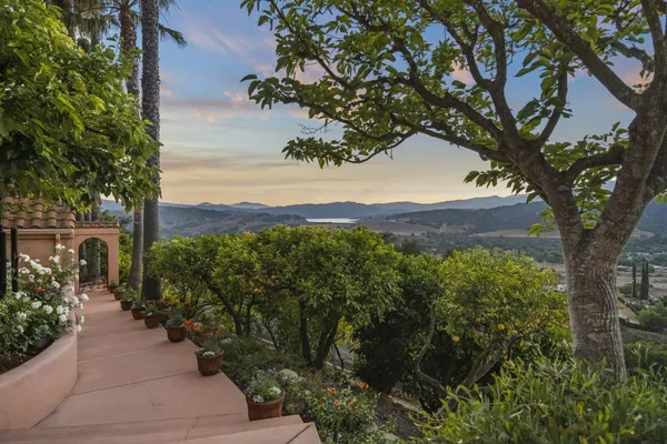 a view of a street with a tree