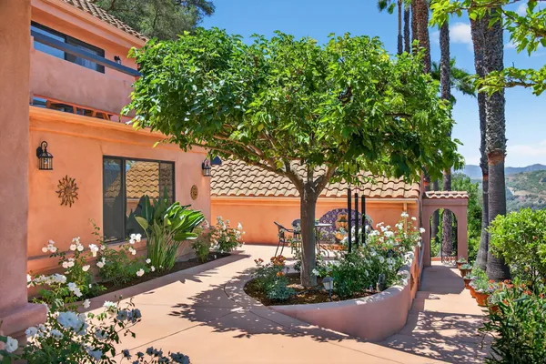 a view of a garden with plants