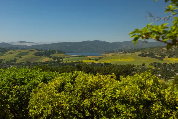 a view of lake with mountain