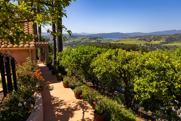 a view of a city with a lake