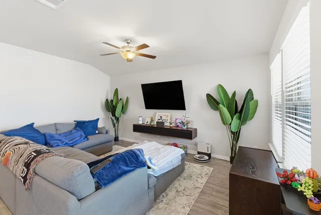 a living room with furniture and a potted plant