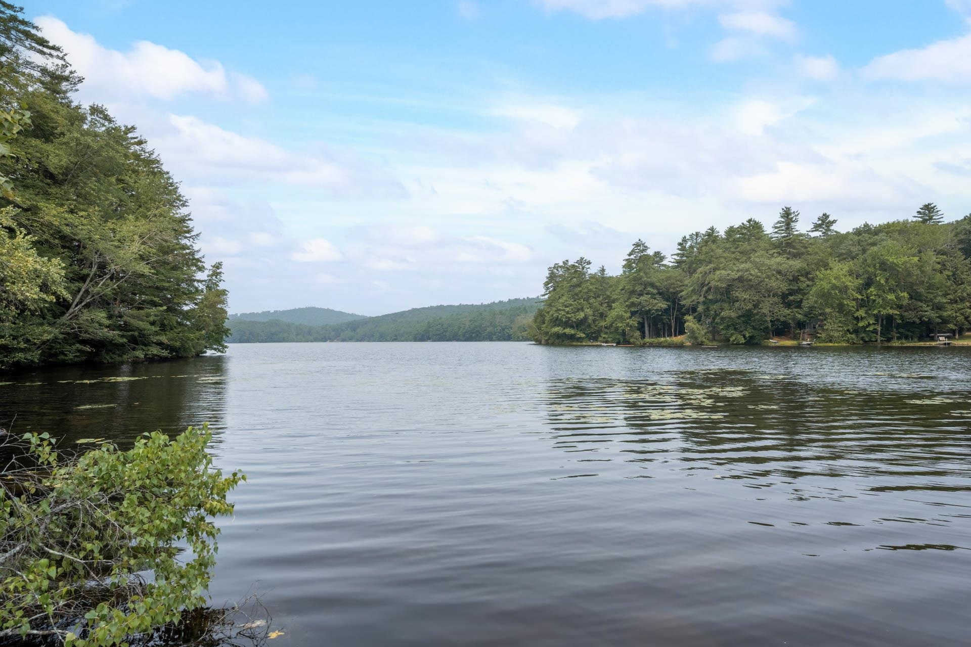 495 Chesham Road Harrisville, NH 03450 - Photo 3 of 42