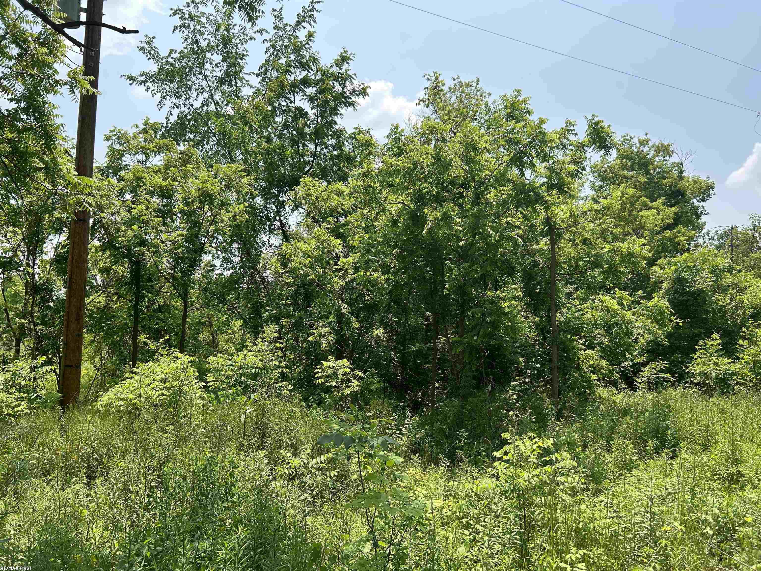 4919 Piersonville Road Columbiaville, MI 48421 - Photo 12 of 16 Gallery Image 12
