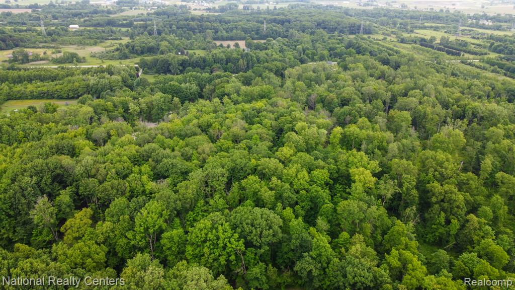 5315 Remer Road East China, MI 48054 - Photo 42 of 47