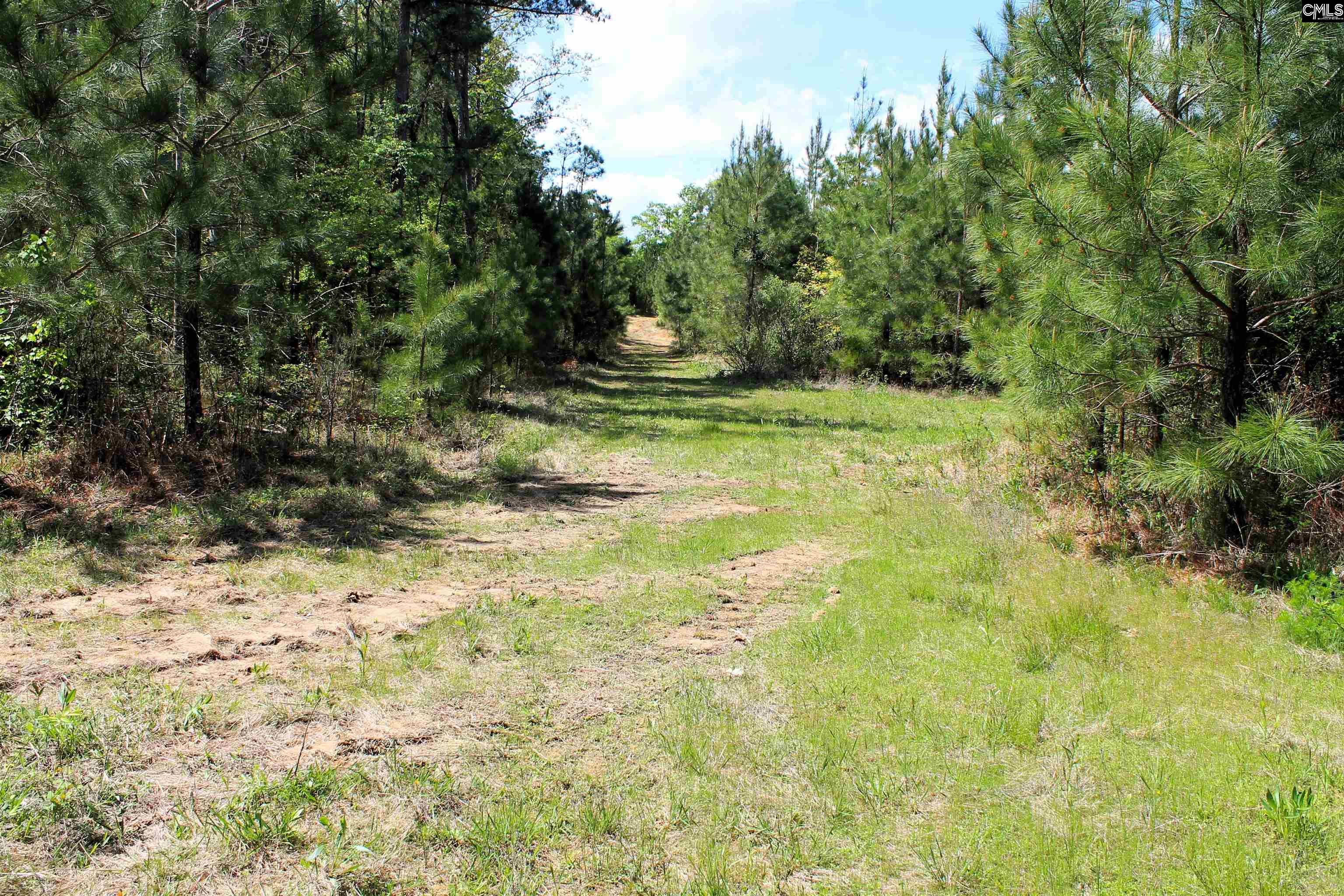 Tbd Crooked Creek Road Chapin, SC 29036 - Photo 12 of 20