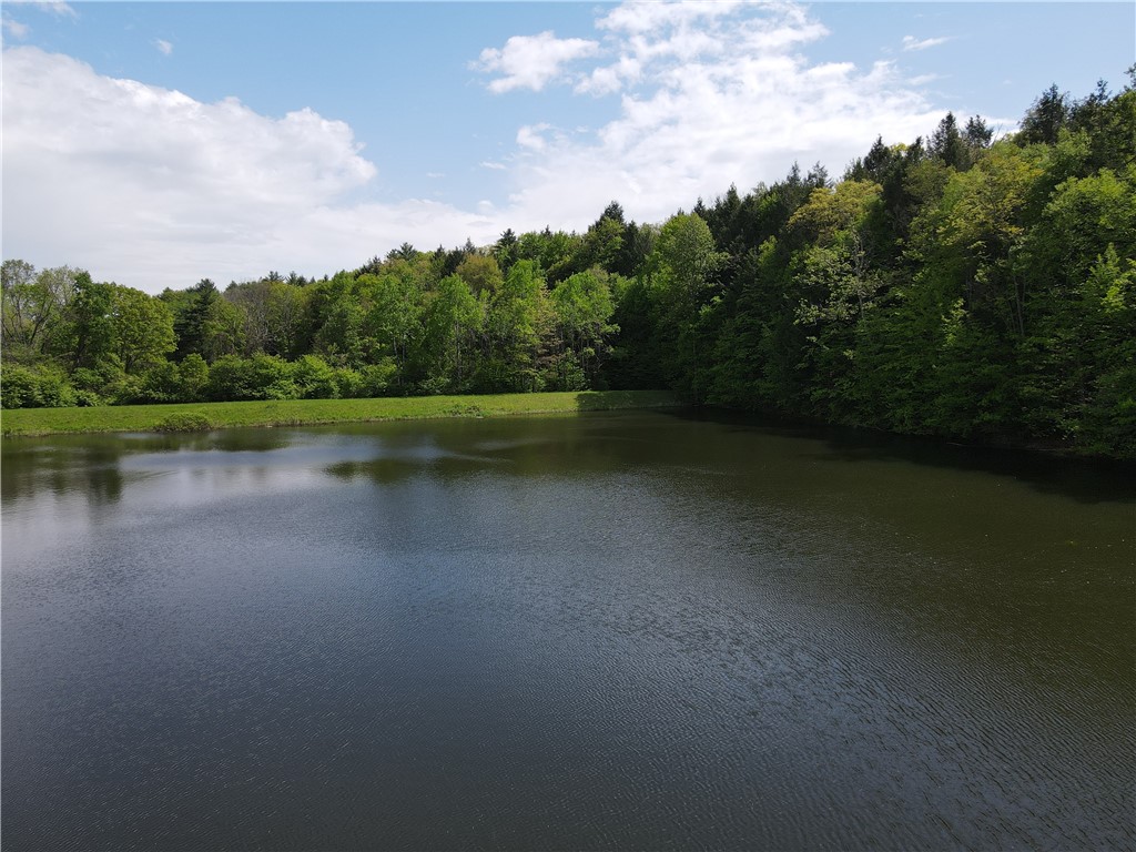 Vl Lot 1 Hardscrabble Road Addison, NY 14801 - Photo 1 of 46