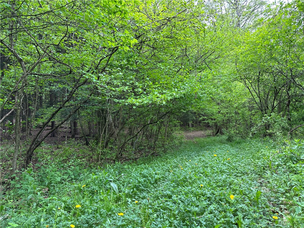 Vl Lot 1 Hardscrabble Road Addison, NY 14801 - Photo 11 of 46