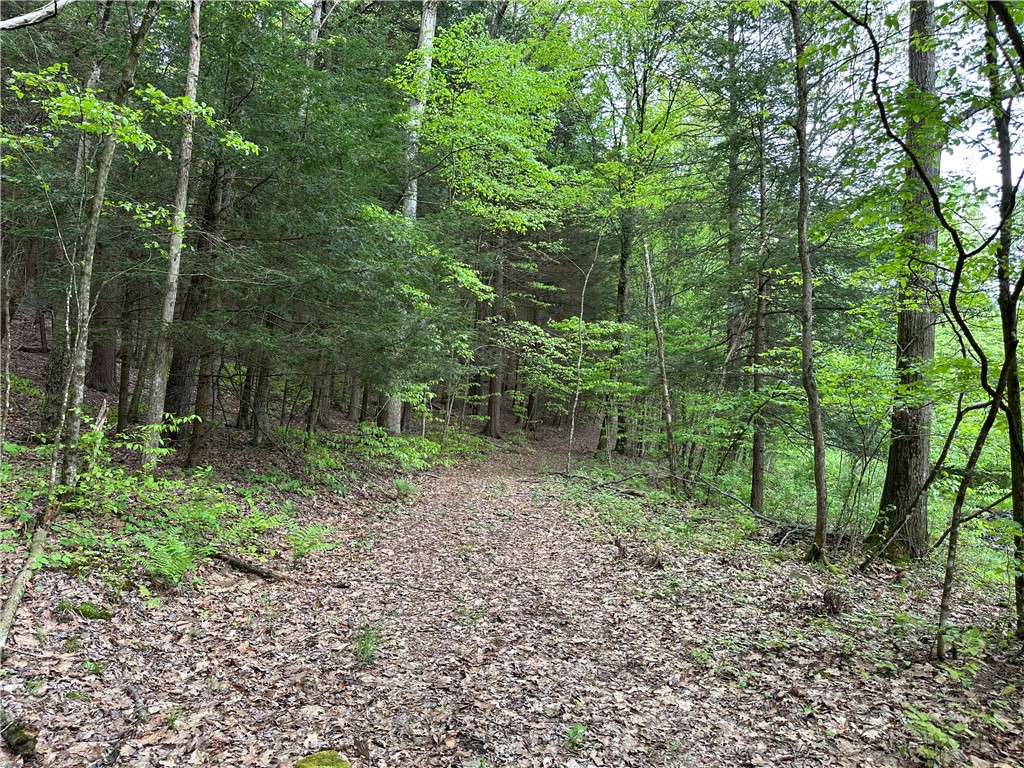 Vl Lot 1 Hardscrabble Road Addison, NY 14801 - Photo 12 of 46