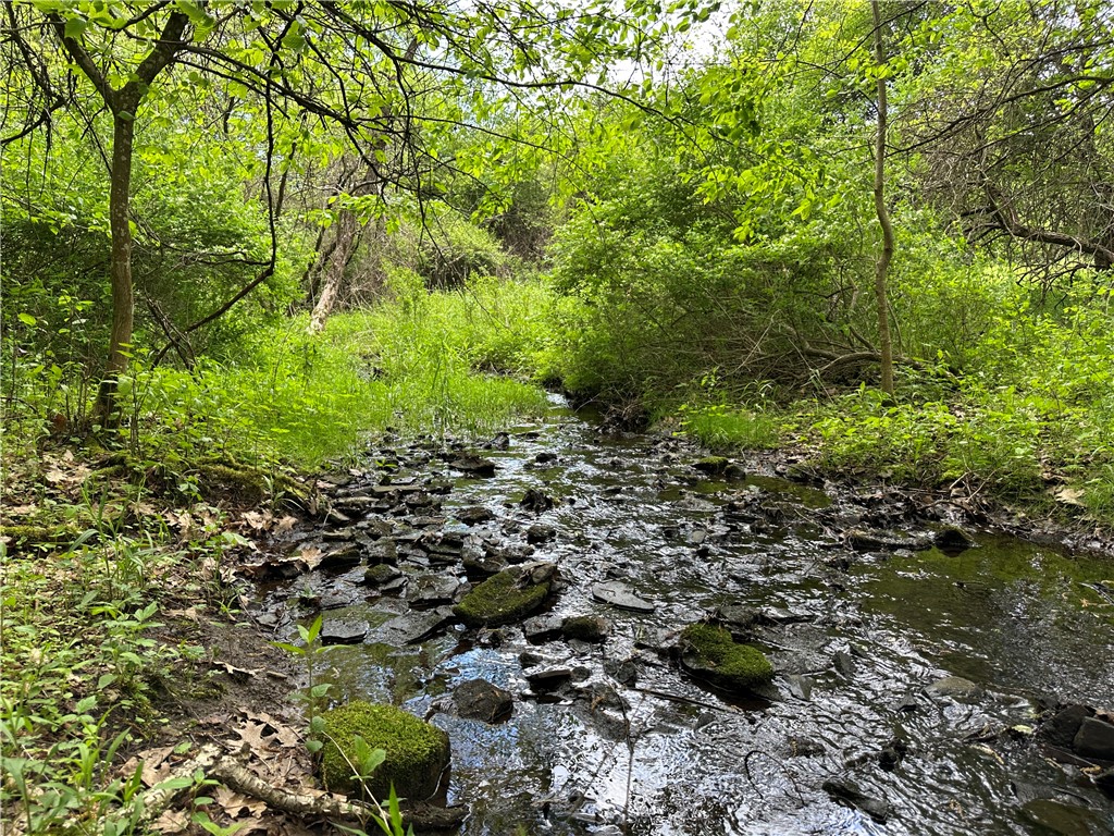 Vl Lot 1 Hardscrabble Road Addison, NY 14801 - Photo 13 of 46