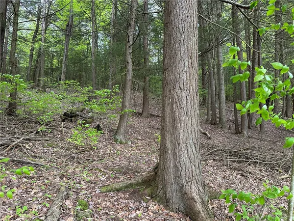 $84,000 | Vl Lot 1 Hardscrabble Road, Addison, NY 14801